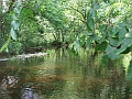 canoeing - cmr klea Tim S july 7 2006 french river trail - one of few unobstructed stretches